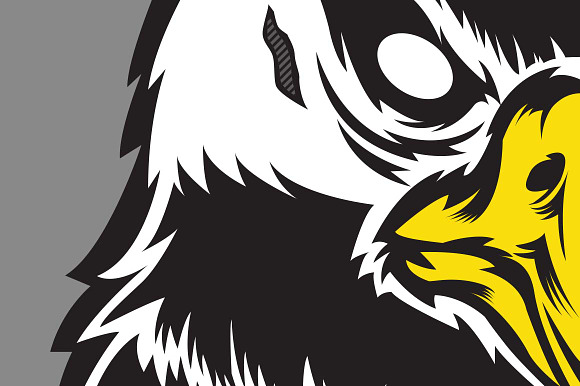 Vector Eagle Head in Illustrations - product preview 1
