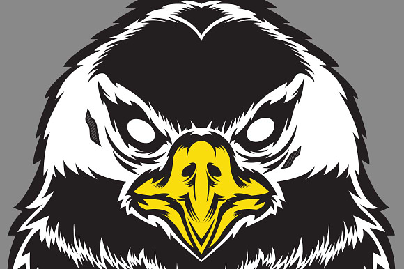 Vector Eagle Head in Illustrations - product preview 2