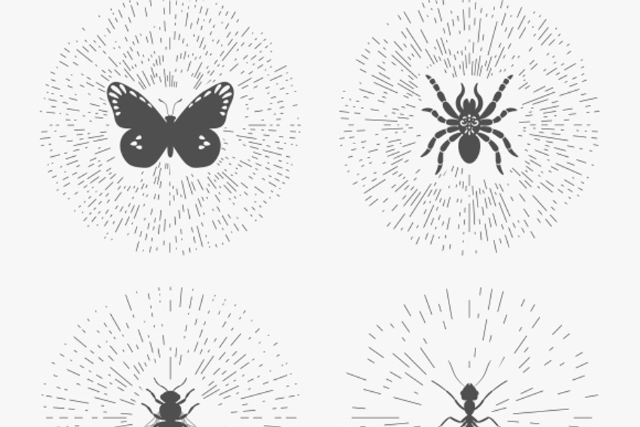 Hipster logo templates with insects in Graphics - product preview 8