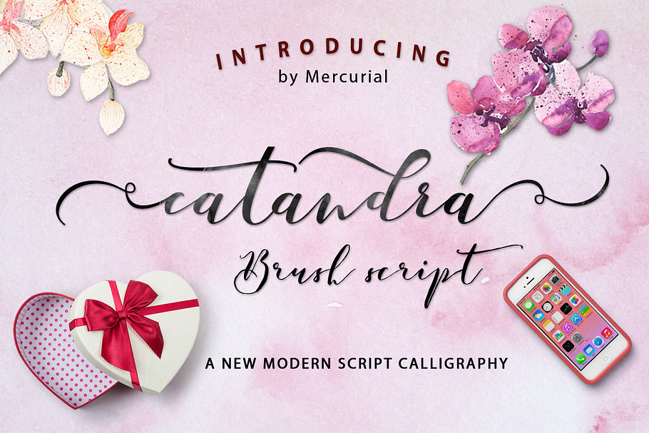 Catandra Script_Update in Script Fonts - product preview 8