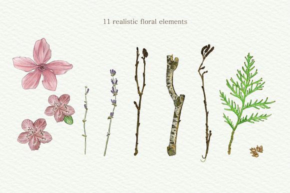 Botanical Watercolor in Illustrations - product preview 3