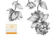 Flowers background (hand drawing)