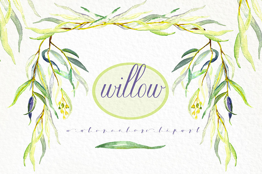 Willow branches watercolor