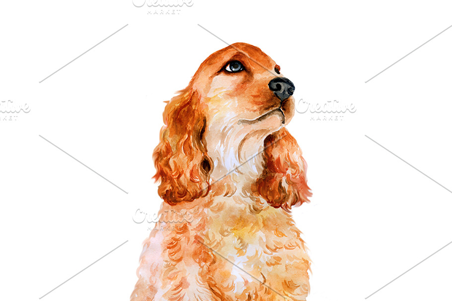 Watercolor Animals Set - DOGS Vol. 3