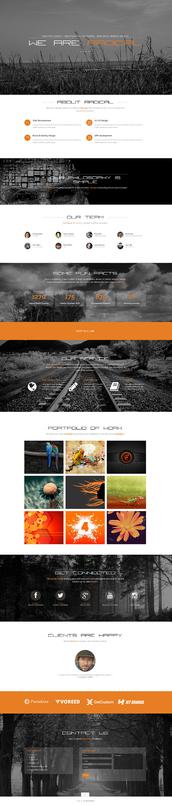 Radical - 1 Page Portfolio Template in Website Templates - product preview 2