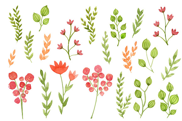 Watercolor Flowers, Floral in Illustrations - product preview 1