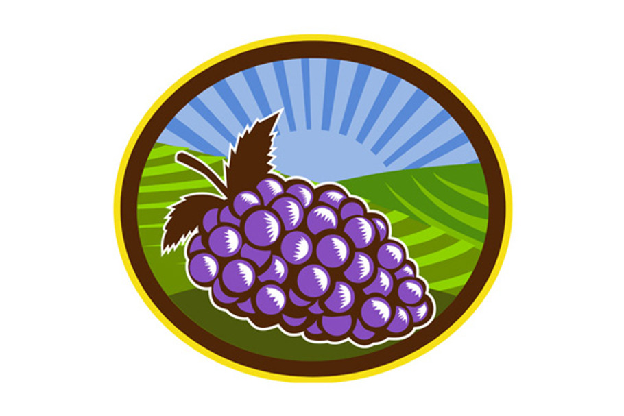 Grapes Vineyard Farm Oval Woodcut in Illustrations - product preview 8