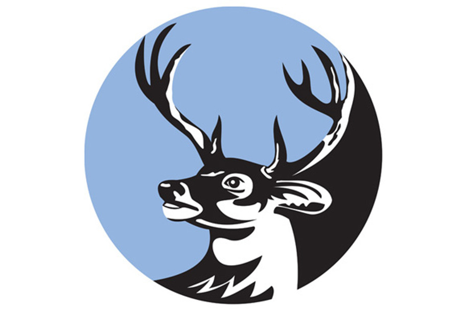 Whitetail Deer Buck Head Circle in Illustrations - product preview 8