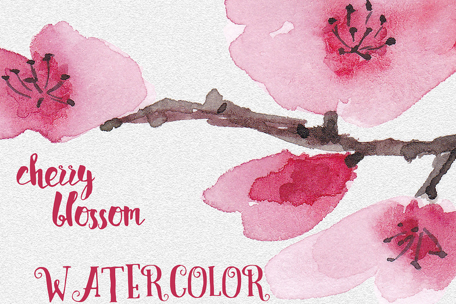 Watercolor Cherry blossom set