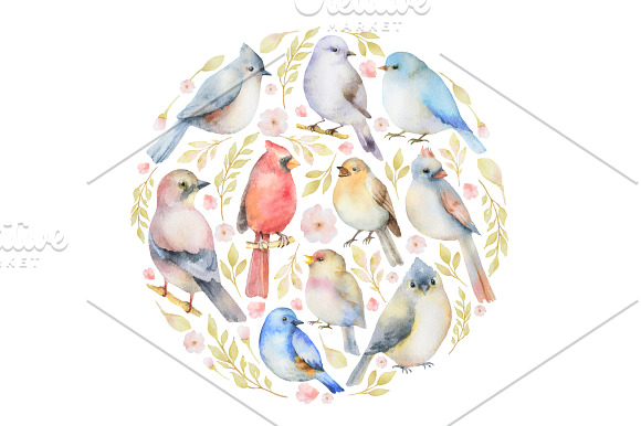 Watercolor birds. in Illustrations - product preview 2