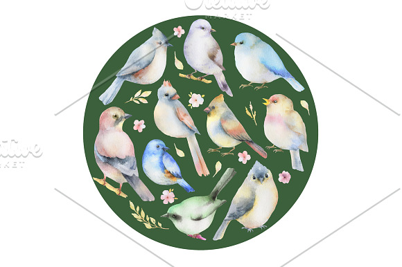 Watercolor birds. in Illustrations - product preview 3