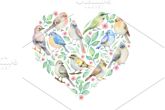 Watercolor birds. in Illustrations - product preview 4