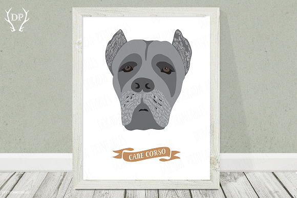 Cane corso dog breeds print art in Illustrations - product preview 1