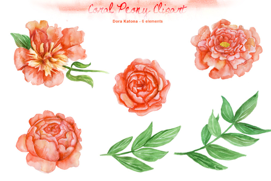 Watercolor Coral Peony Clipart in Illustrations - product preview 8