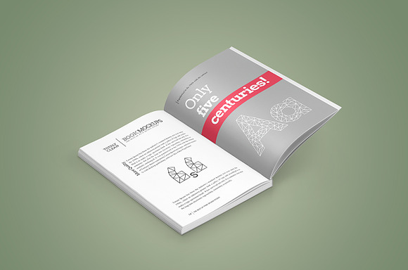 Book Mock-Up / Softcover Edition in Print Mockups - product preview 6