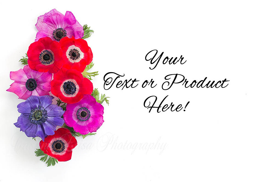 Styled Stock Photography Floral