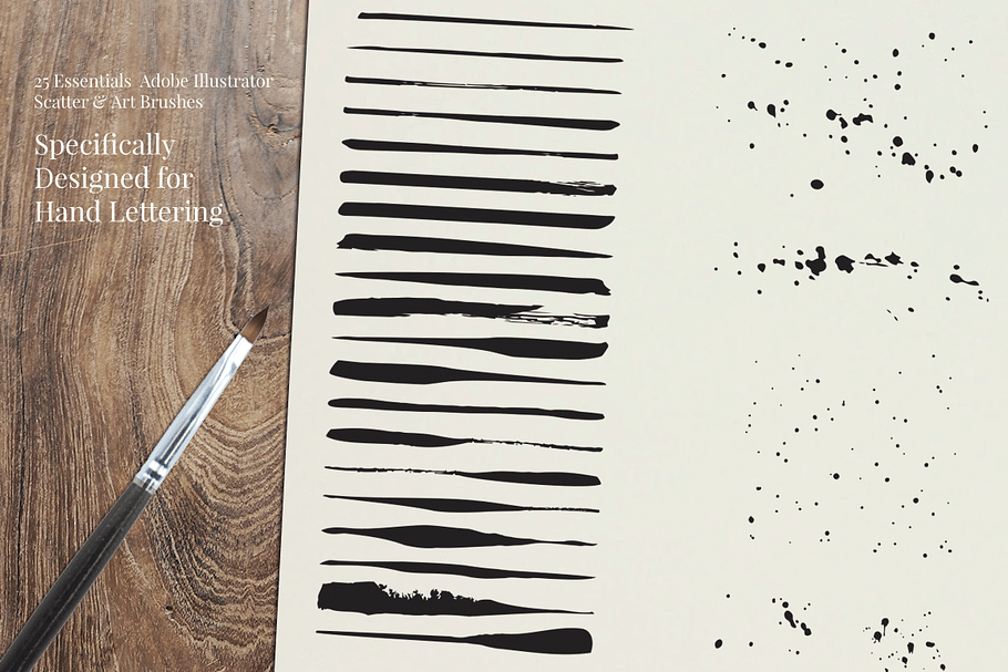 DIY Calligraphic Brush Kit in Photoshop Brushes - product preview 8