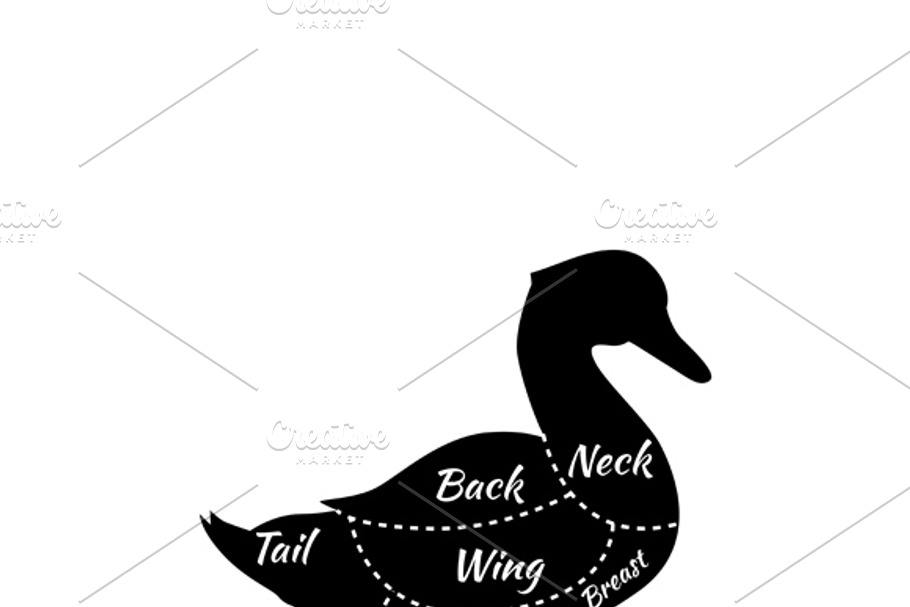 Duck Butcher Cuts Diagram in Illustrations - product preview 8