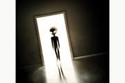 Alien at Door