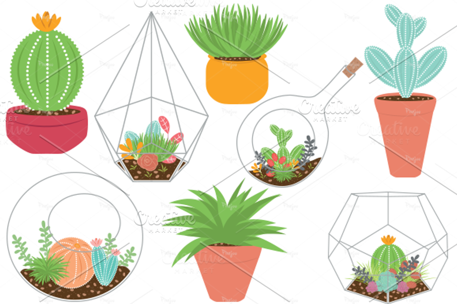 Terrariums and Plants EPS & PNG