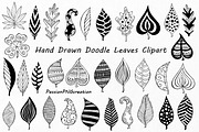 Hand Drawn Doodle Leaves Clipart