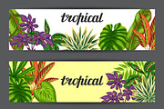 Banners with tropical plants.