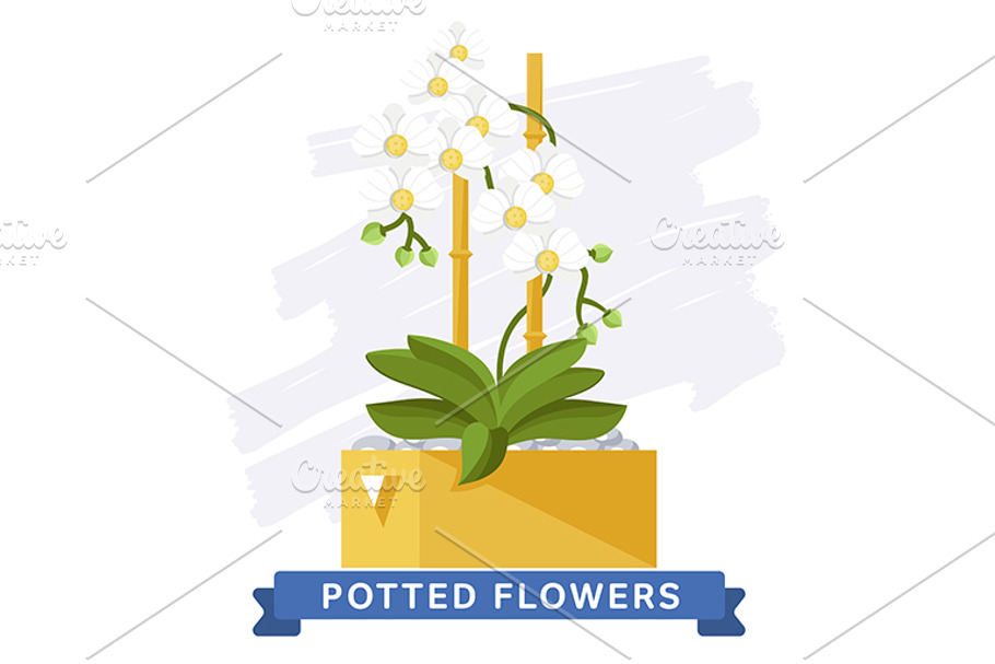 Poted Flowers. Spring series in Illustrations - product preview 8