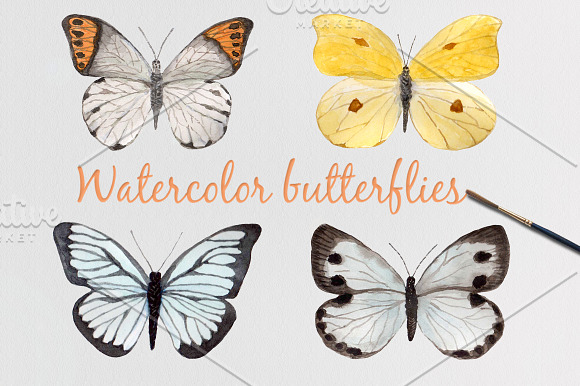 Watercolor  set  "Butterflies" in Illustrations - product preview 2