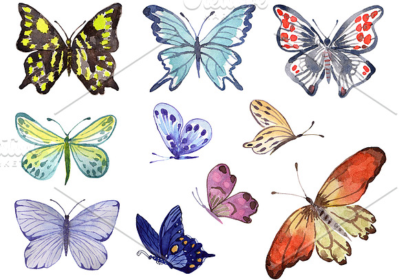 Watercolor  set  "Butterflies" in Illustrations - product preview 3