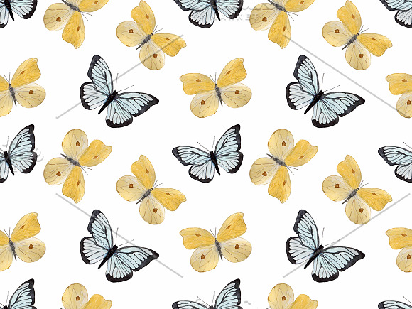 Watercolor  set  "Butterflies" in Illustrations - product preview 5