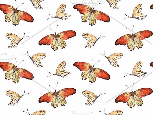 Watercolor  set  "Butterflies" in Illustrations - product preview 6