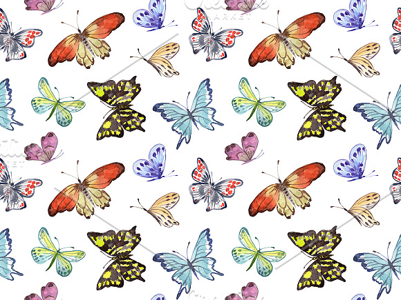 Watercolor  set  "Butterflies" in Illustrations - product preview 7