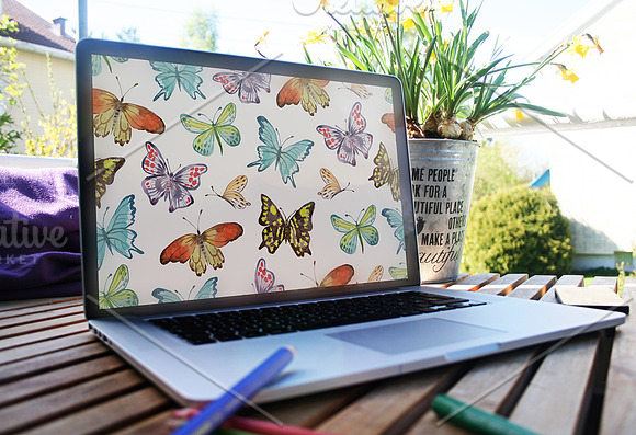 Watercolor  set  "Butterflies" in Illustrations - product preview 9