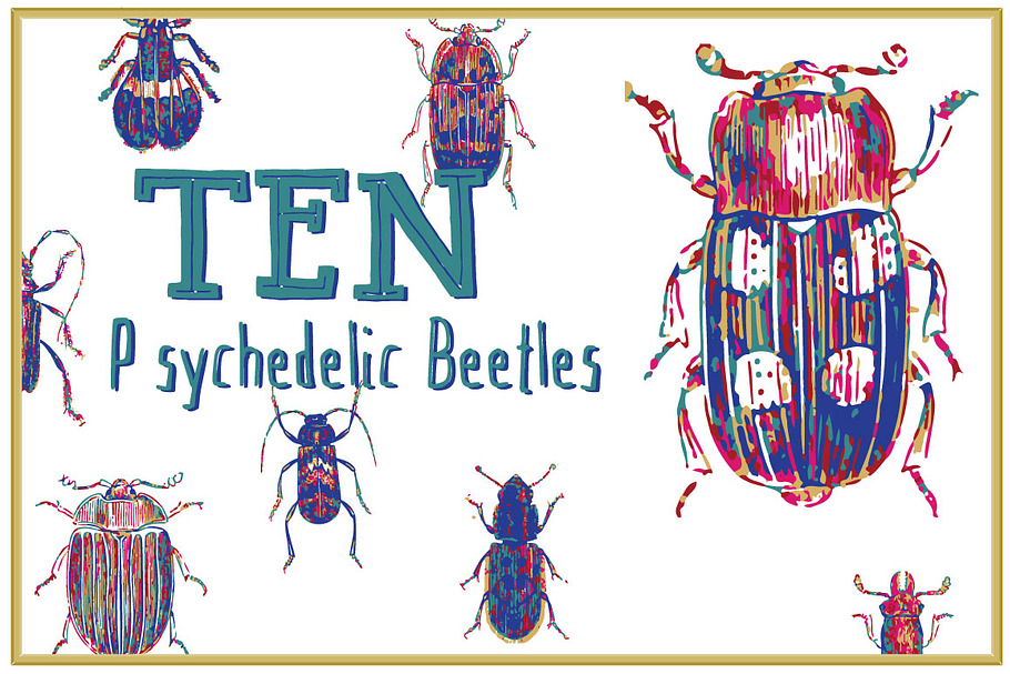 10 Colorful Beetle Vectors