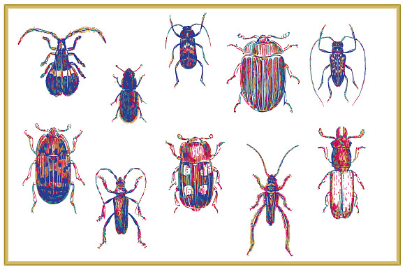 10 Colorful Beetle Vectors in Objects - product preview 1