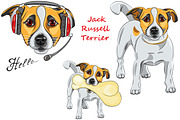 Dog Jack Russell Terrier SET