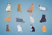 Collection cute Cats