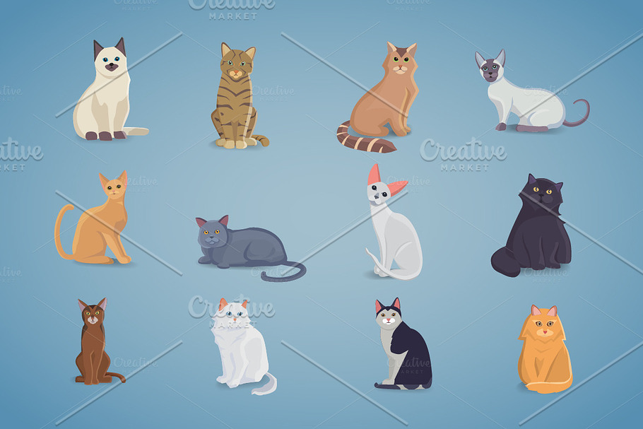 Collection cute Cats in Illustrations - product preview 8