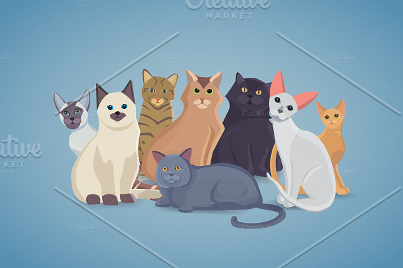Collection cute Cats in Illustrations - product preview 1