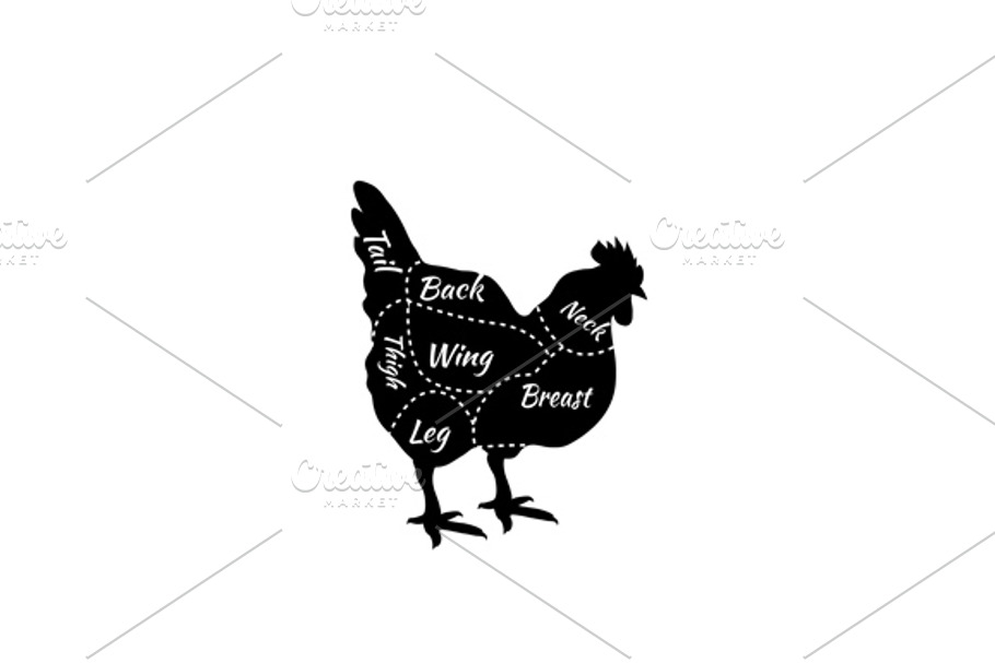 Chicken Butcher Cuts Diagram in Illustrations - product preview 8