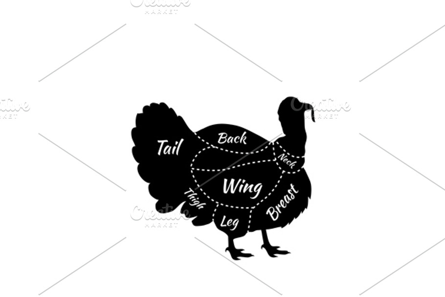 Turkey meat Cuts Butcher shop in Illustrations - product preview 8