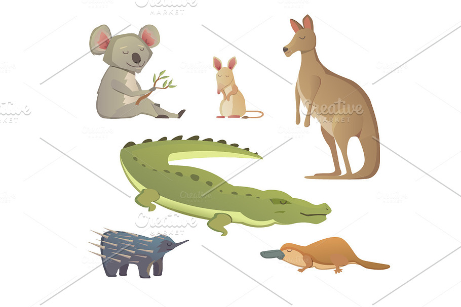 Cartoon Australian Animals in Illustrations - product preview 8