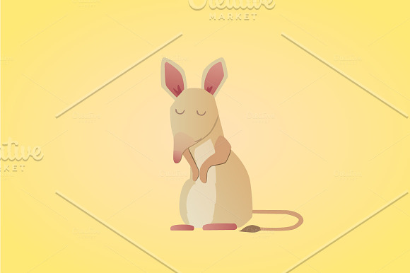 Cartoon Australian Animals in Illustrations - product preview 4