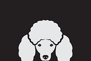 Vector image of an dog poodle face