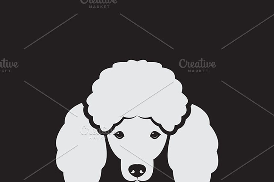 Vector image of an dog poodle face in Graphics - product preview 8