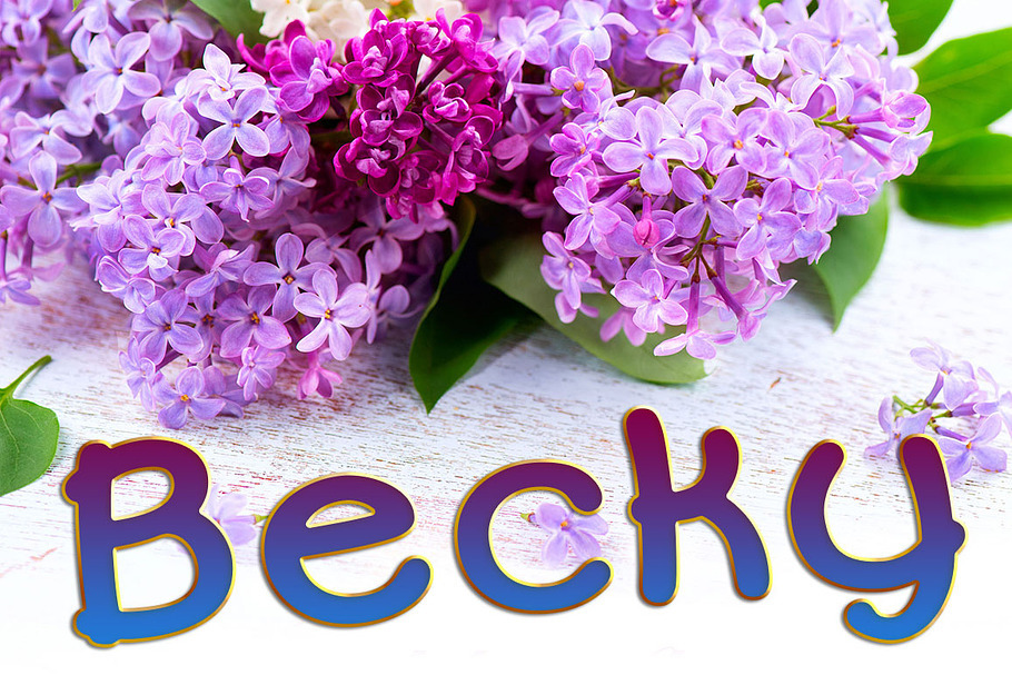 Becky Heavy in Sans-Serif Fonts - product preview 8