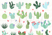 Cactus and Succulent Clipart Vectors