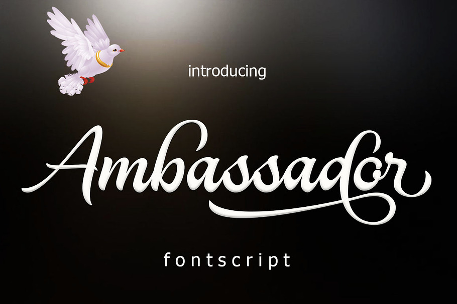 Ambassador in Script Fonts - product preview 8