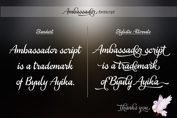 Ambassador in Script Fonts - product preview 7