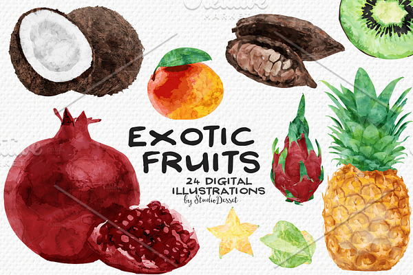 Exotic Fruits - Watercolor Cliparts